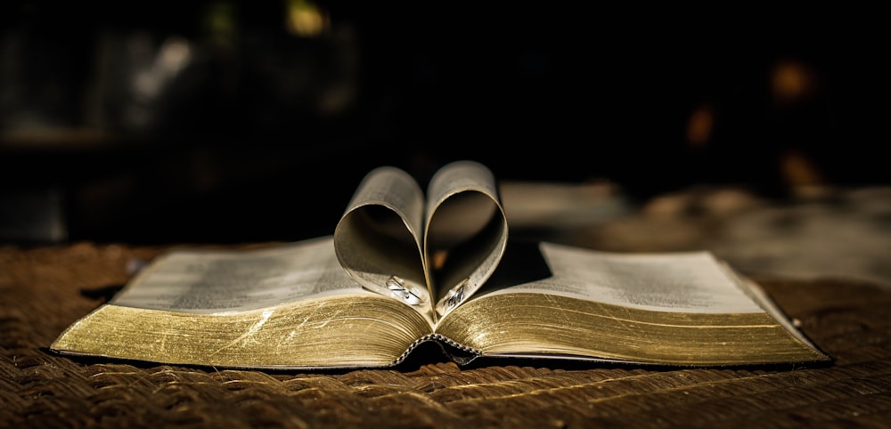 white book page on brown wooden board