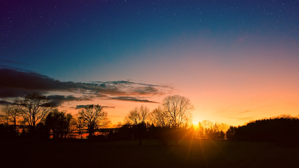 silhouette photo of mountains and trees