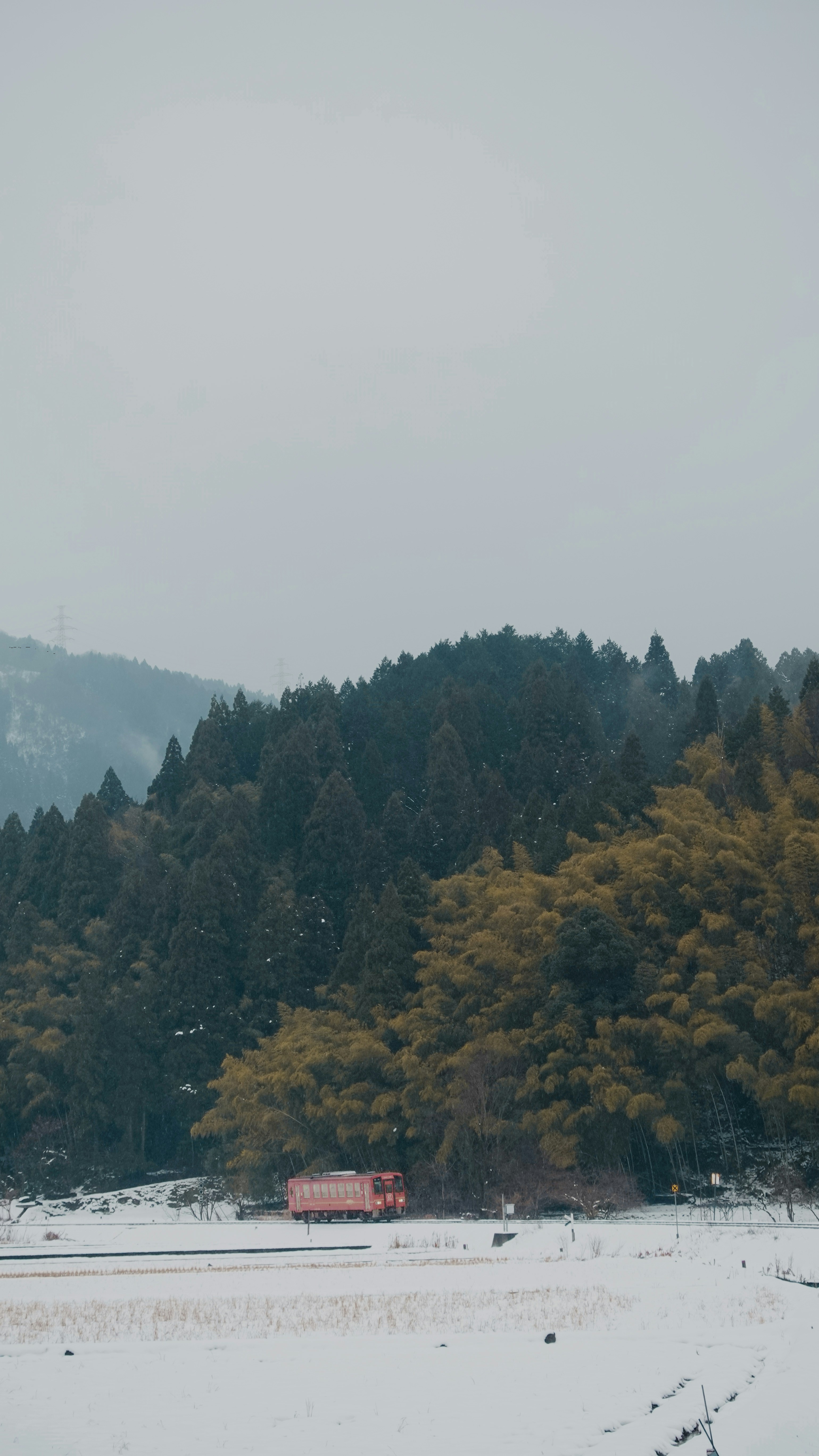 Photo by rissun_line