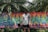 A man stands in front of a colorful graffiti-covered wall with tropical palm leaves arching above. He is holding a camera and wearing a gray t-shirt and black shorts. The vibrant wall has a multicolored abstract design.