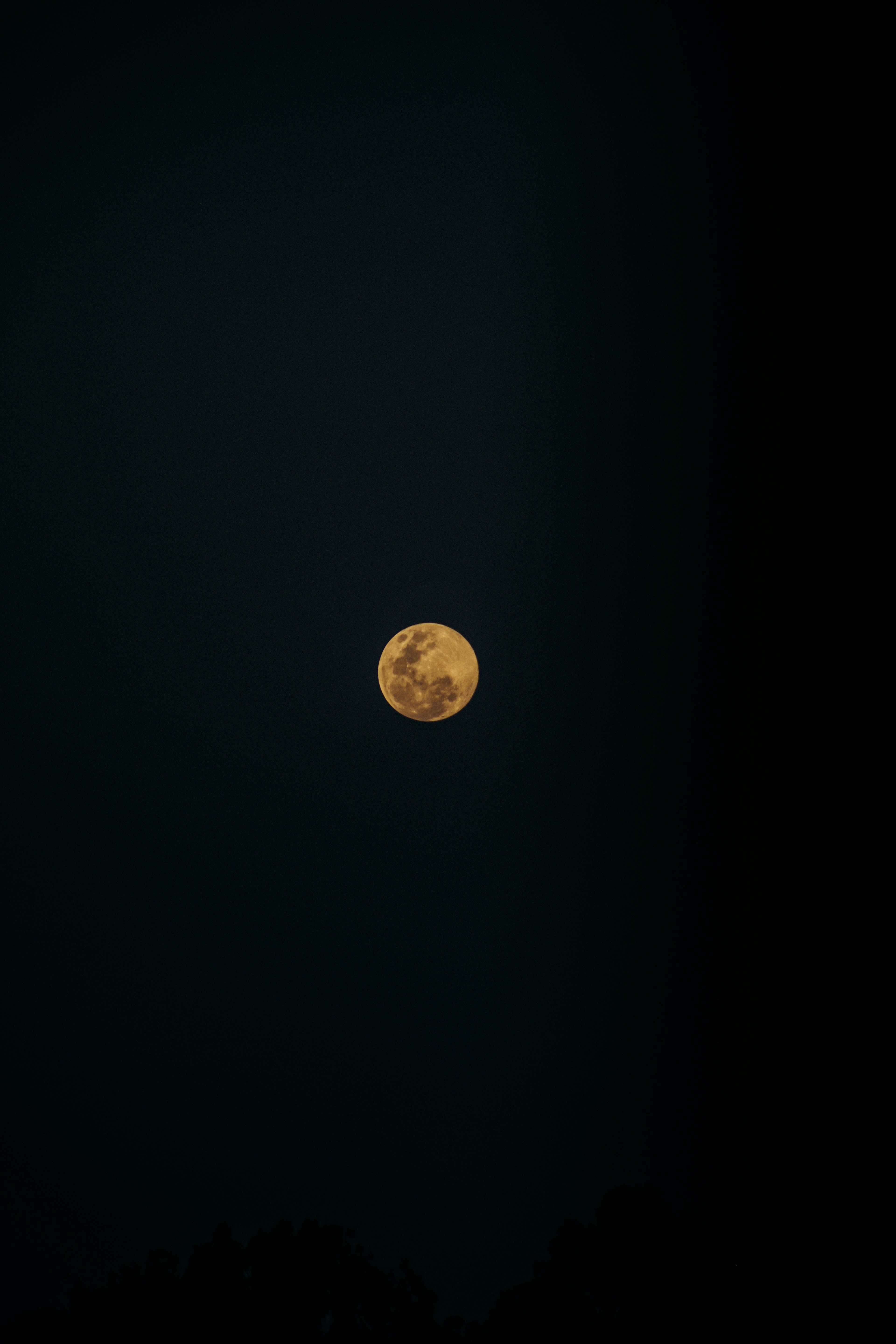 Photo by gift_habeshaw