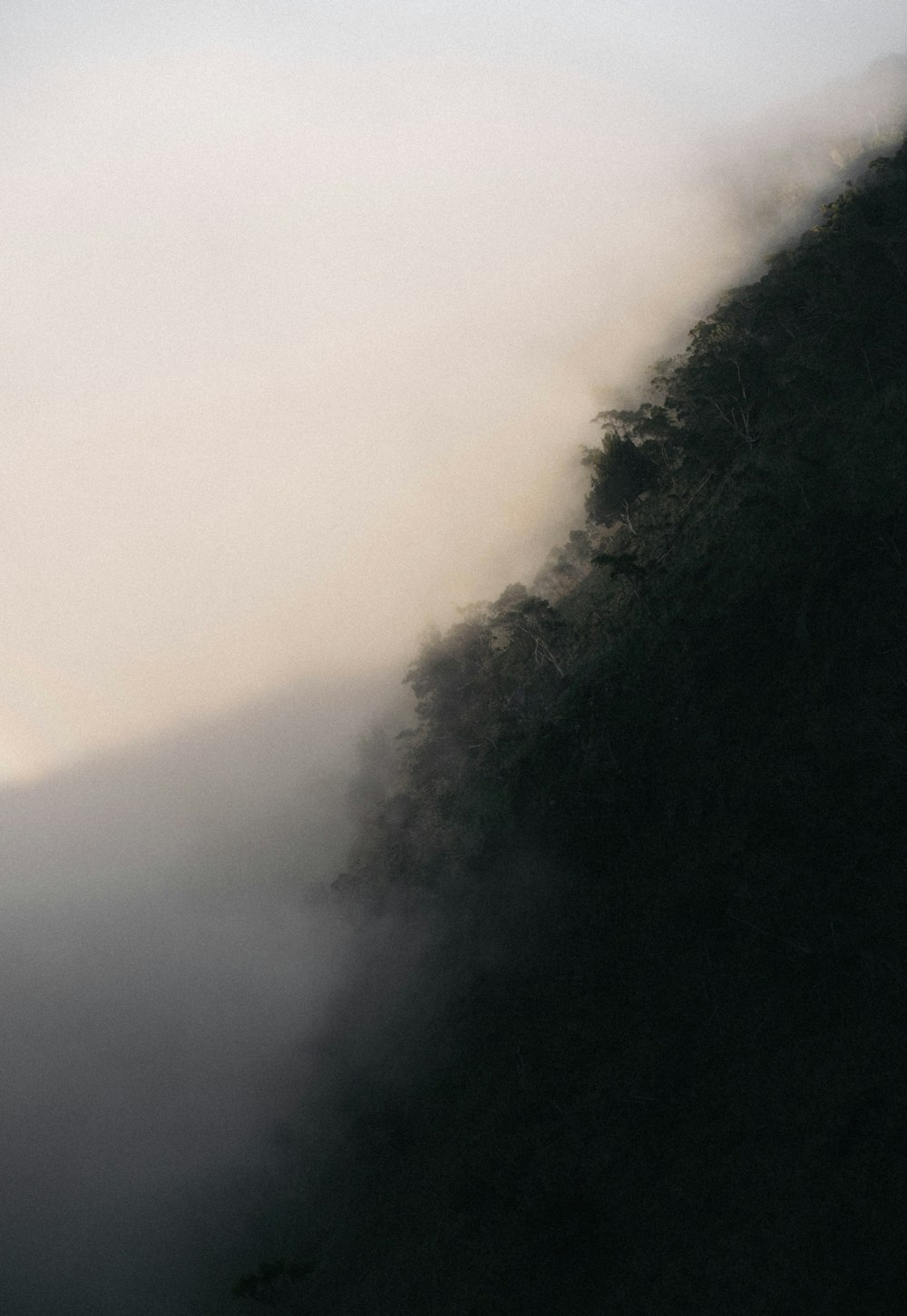 a plane flying over a mountain covered in fog