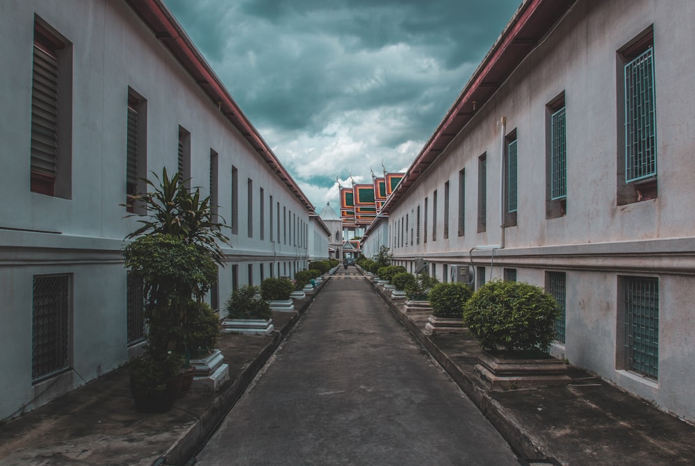 narrow pathway in between houses