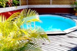 Private pool surrounded by native plants and wooden decking.