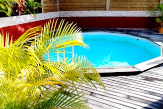 A compact, elegant polyester micro-pool installed in a small urban backyard with wooden decking.