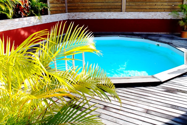 A beautifully designed bio-pool surrounded by wooden decking and native plants