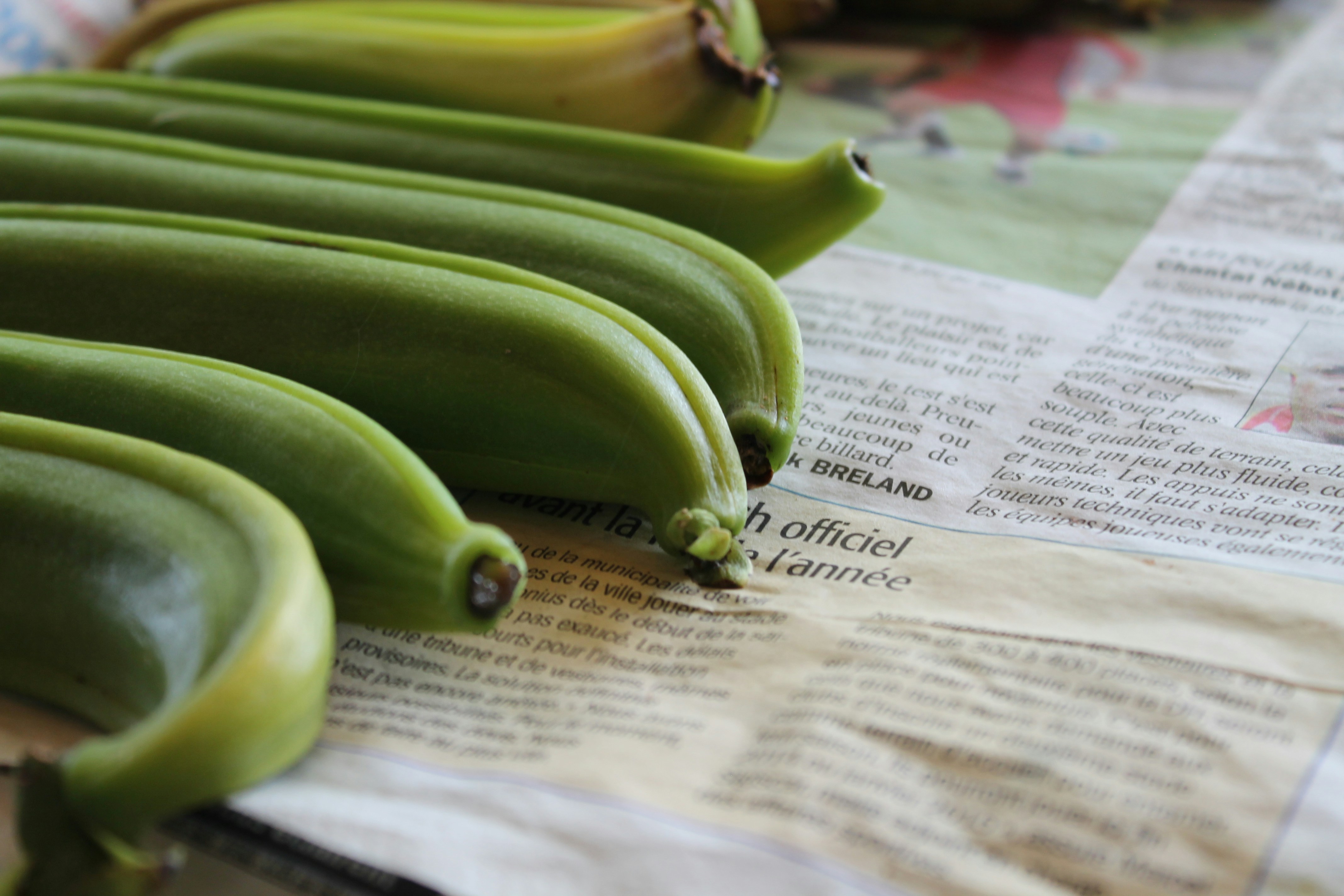 green vegetables on newspaper