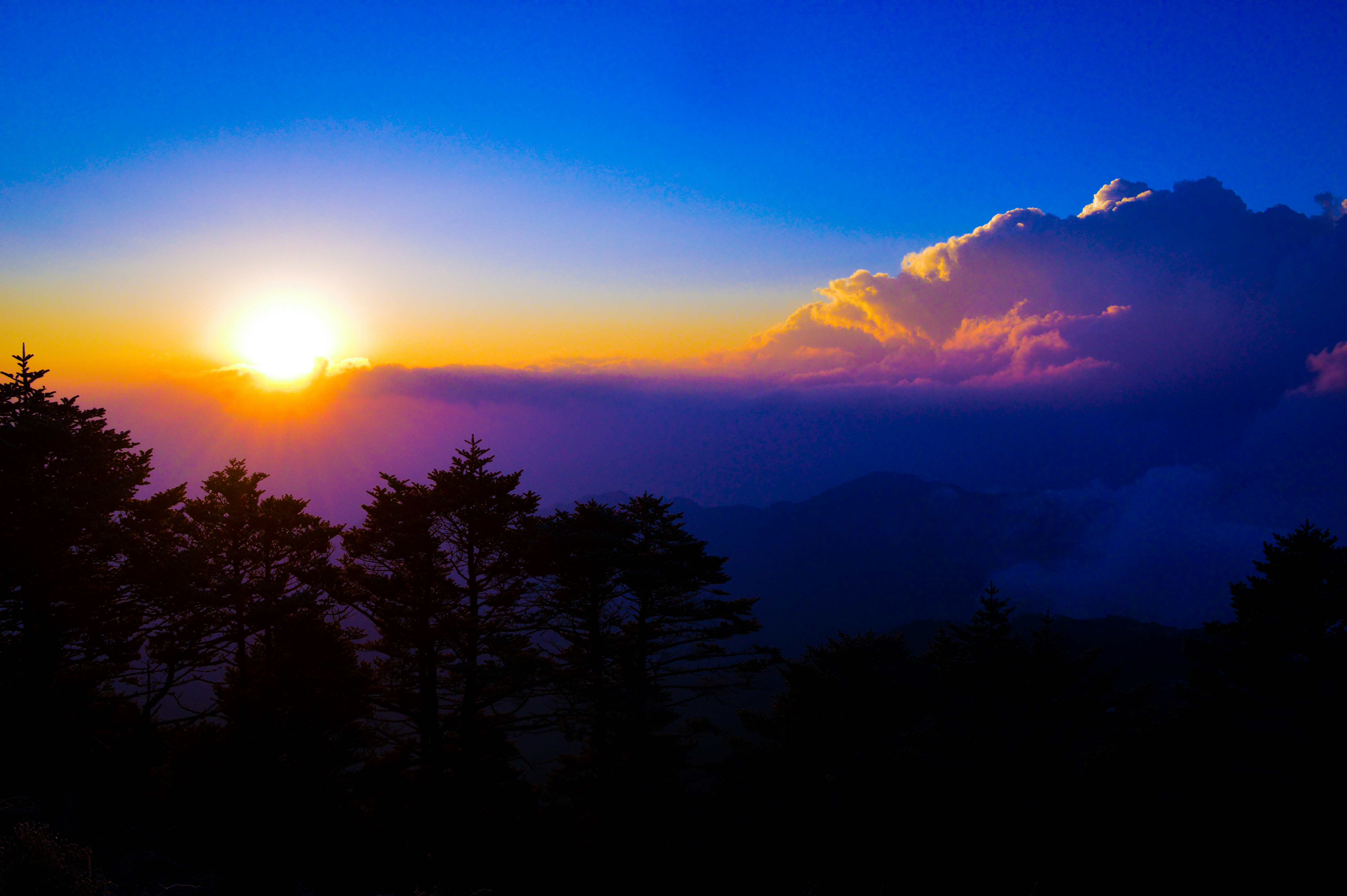 Photo by ashiqul7237