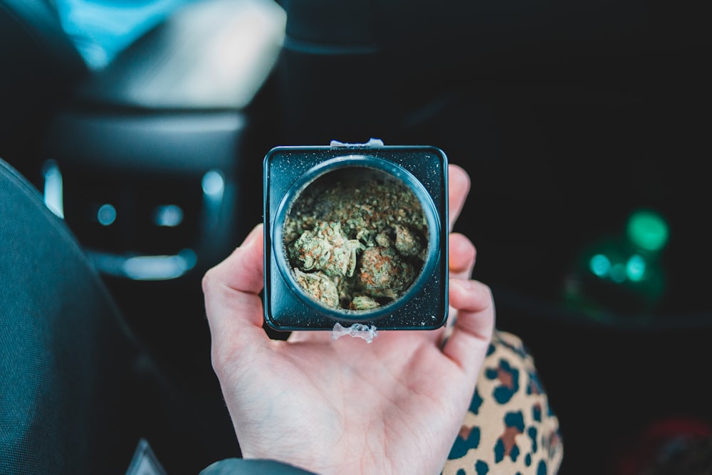 person holding can with green cannabis inside