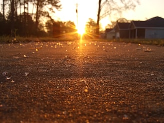 A freshly poured concrete driveway glistening under the morning sun in a suburban neighborhood.