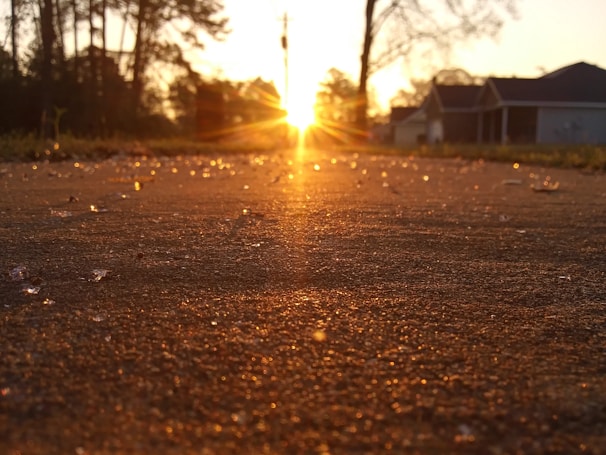 A freshly poured concrete driveway glistening under the morning sun.
