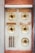 An old, weathered intercom system with four round buzzer buttons, each labeled with different names. The surface shows signs of wear and aging, with a rusty grill section below the left column of buttons. The background is a mix of beige and reddish-brown textures, giving an antique look.