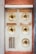 An old, weathered intercom system with four round buzzer buttons, each labeled with different names. The surface shows signs of wear and aging, with a rusty grill section below the left column of buttons. The background is a mix of beige and reddish-brown textures, giving an antique look.