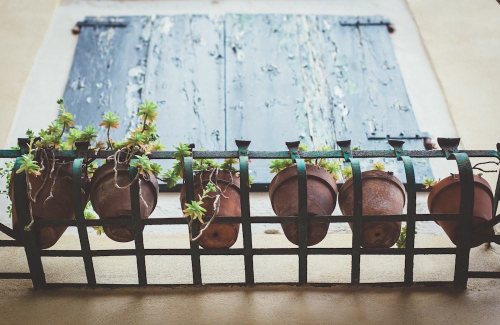 brown plant pots hangs on black metal rack