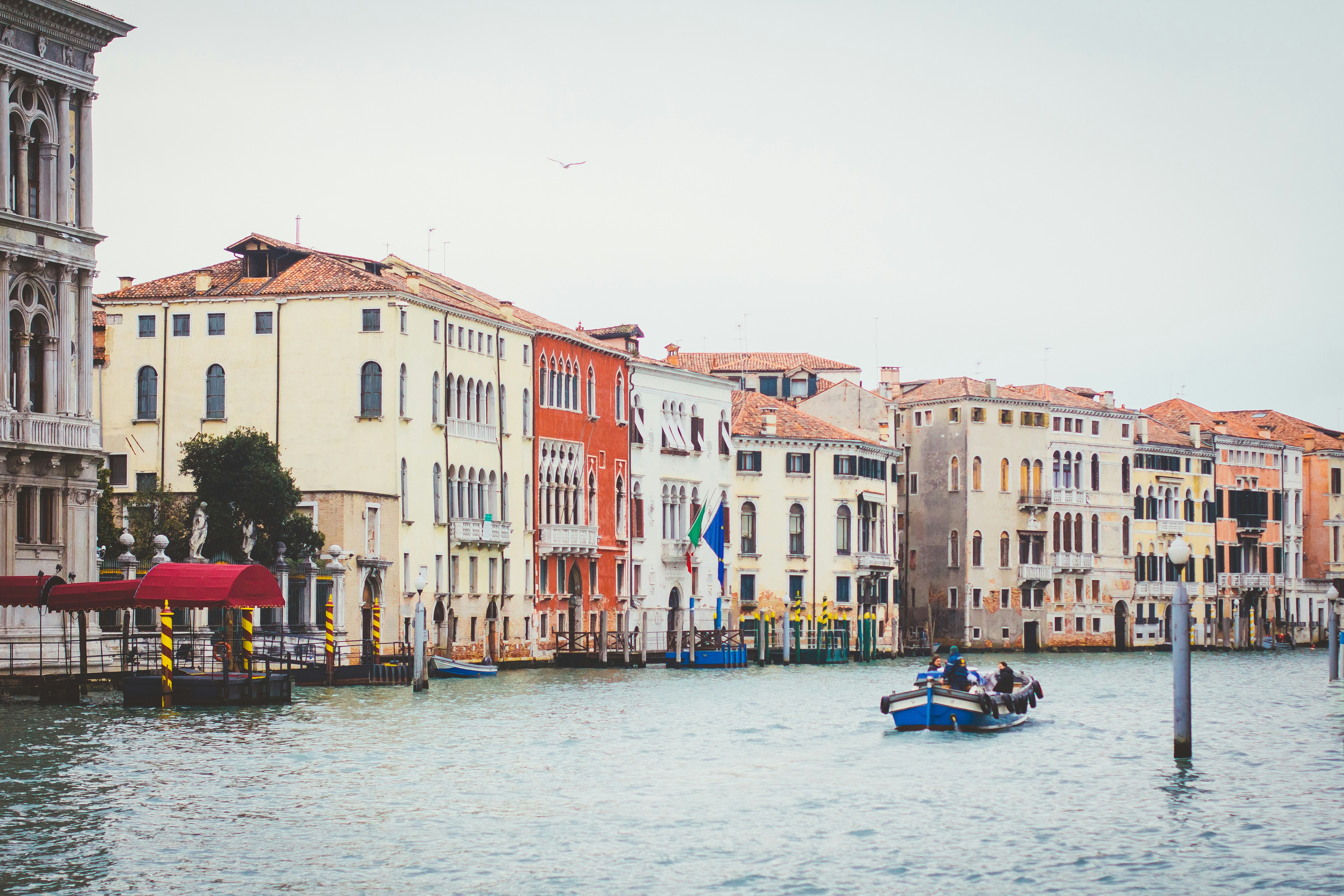 Photo by eugenezhyvchik