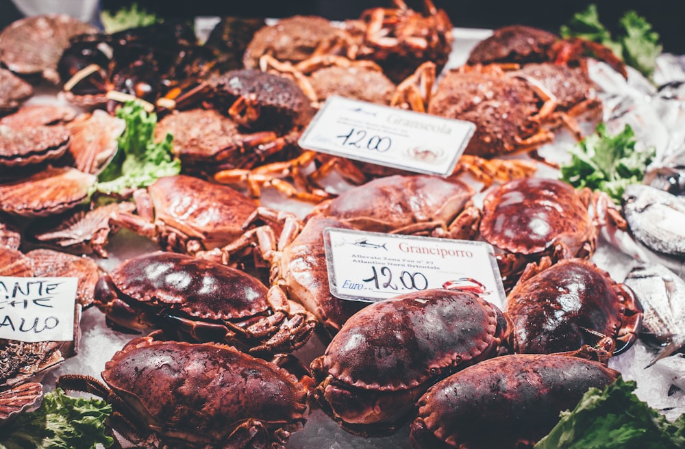 flat lay photography of raw crabs for sale
