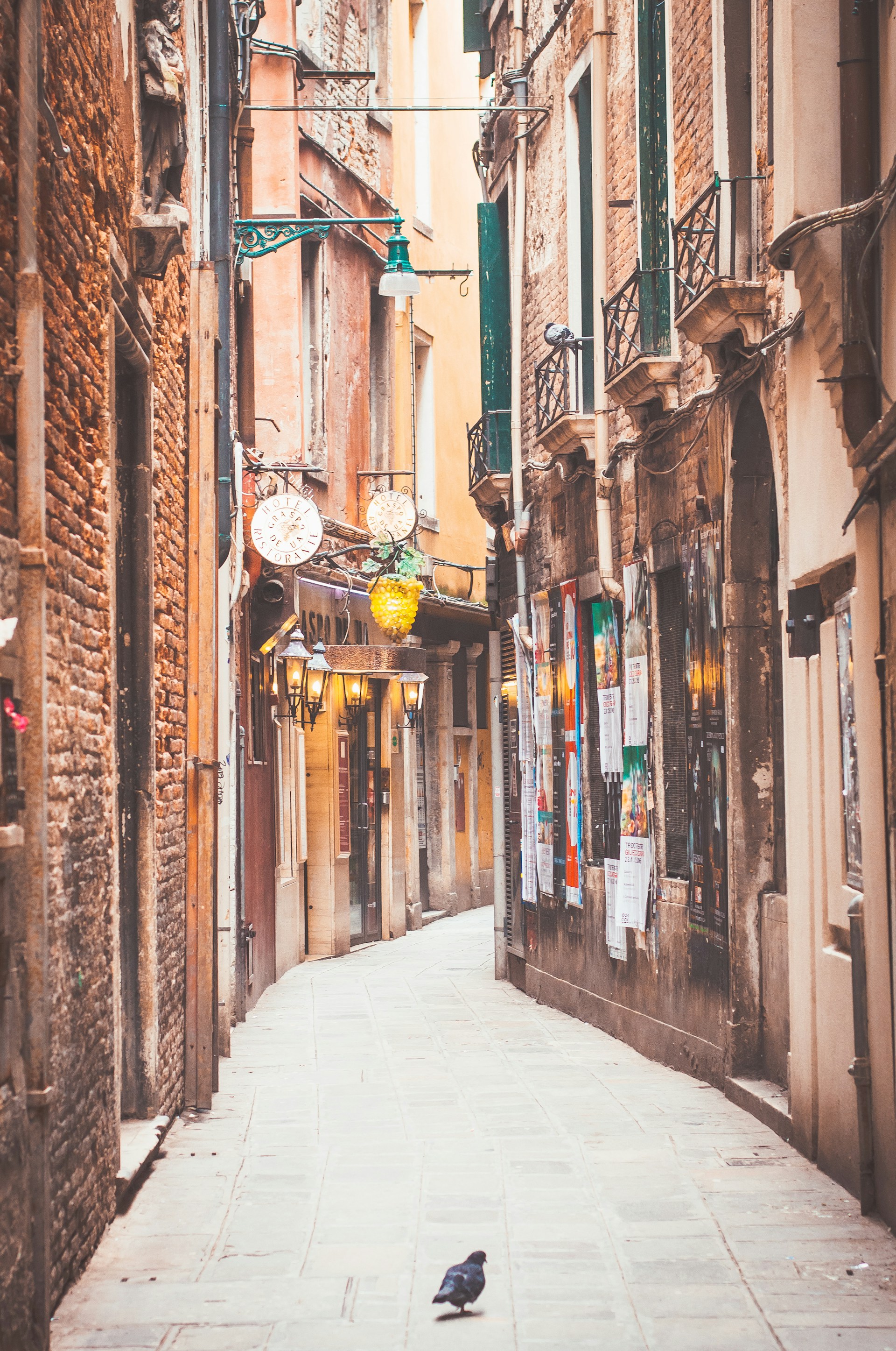 Alleyway Quotes And Descriptions To Inspire Creative Writing