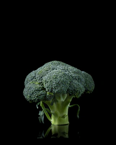 Broccoli