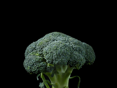 Broccoli
