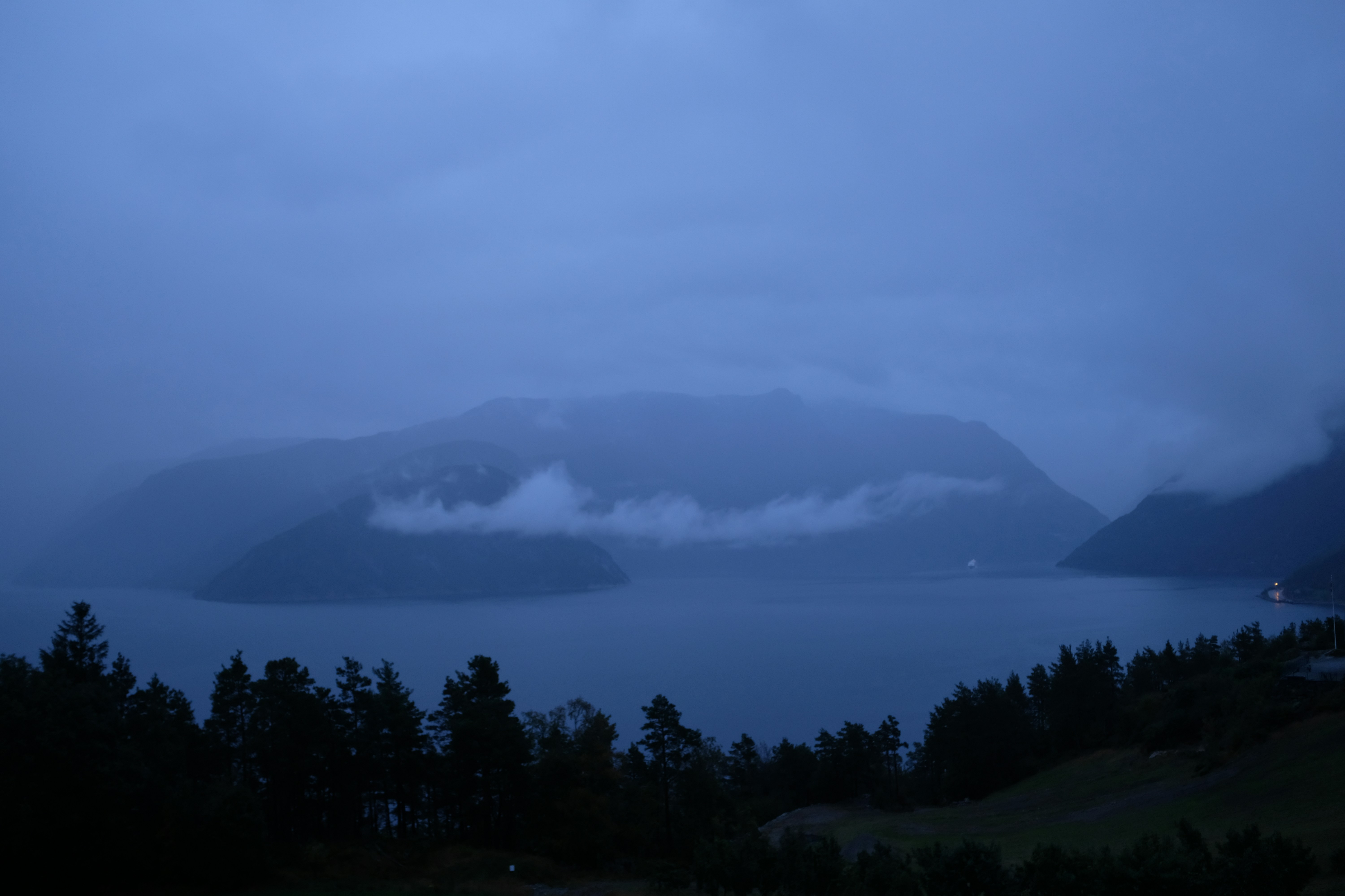 Photo by tomasrobertson