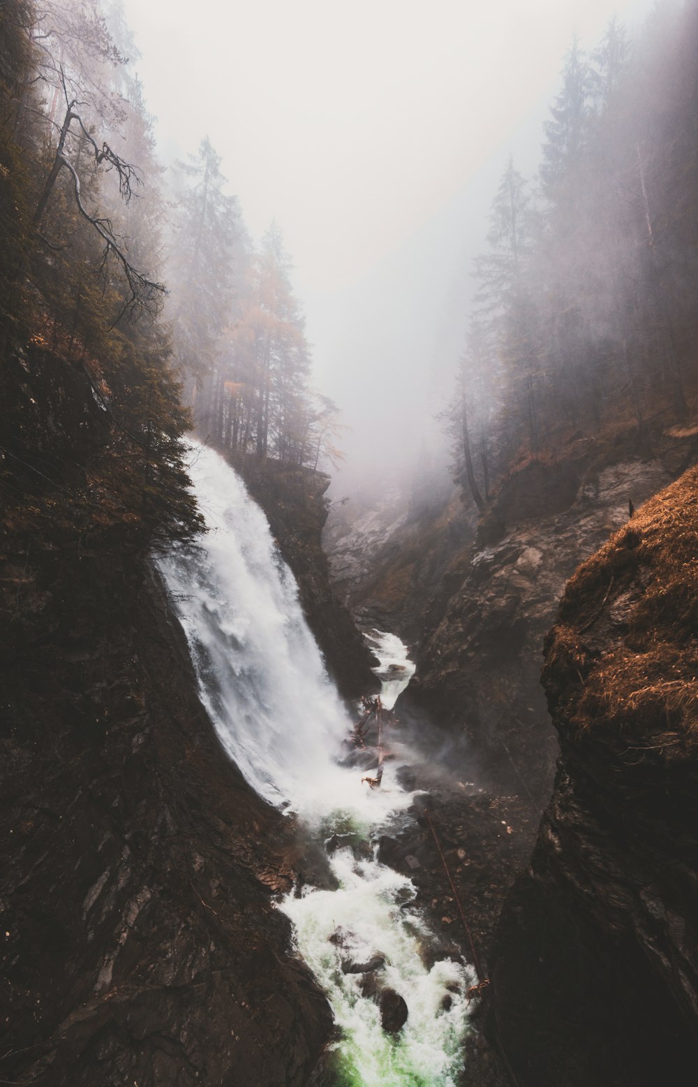 fog surrounding forest with waterfalls