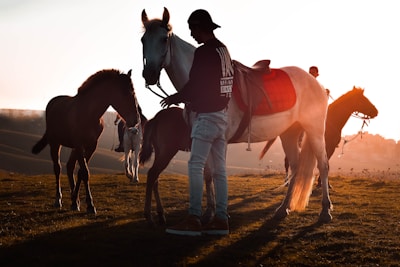 A small group of people sharing a moment of connection with horses in a green field.
