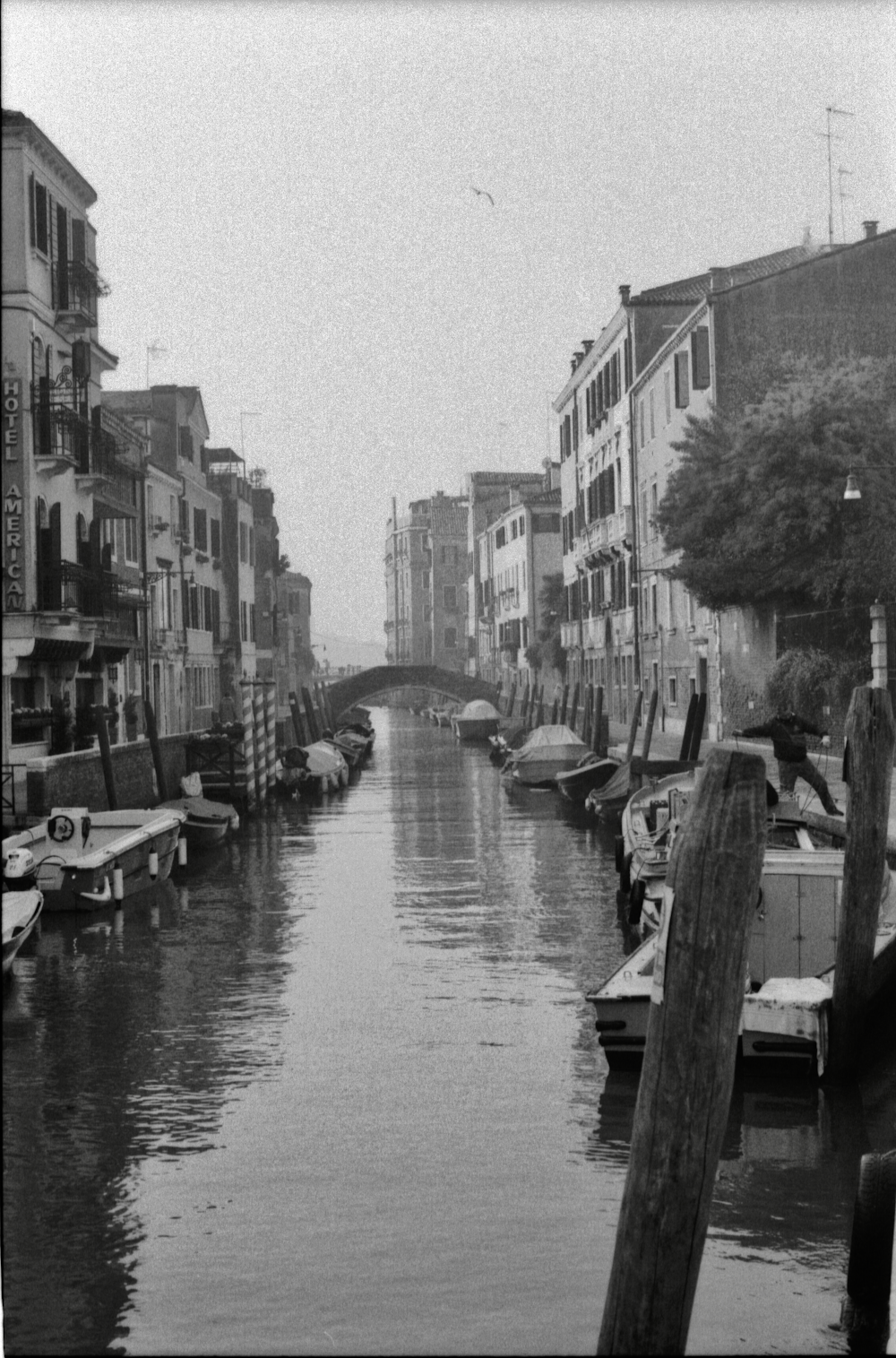 grayscale photography of river between houses