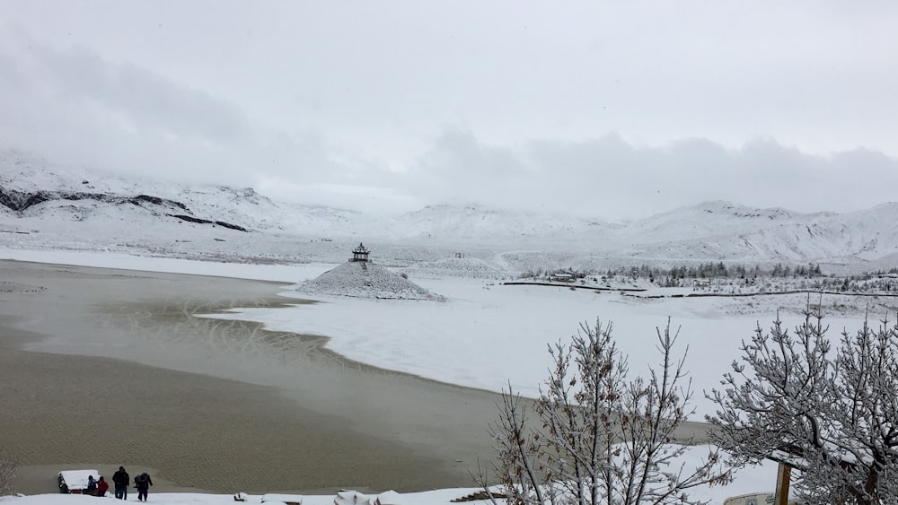 people near bare trees during winter