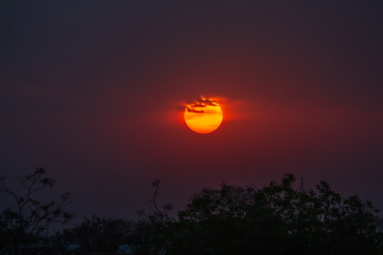 A red sun in a dark purple sky with silhouetted treetops 