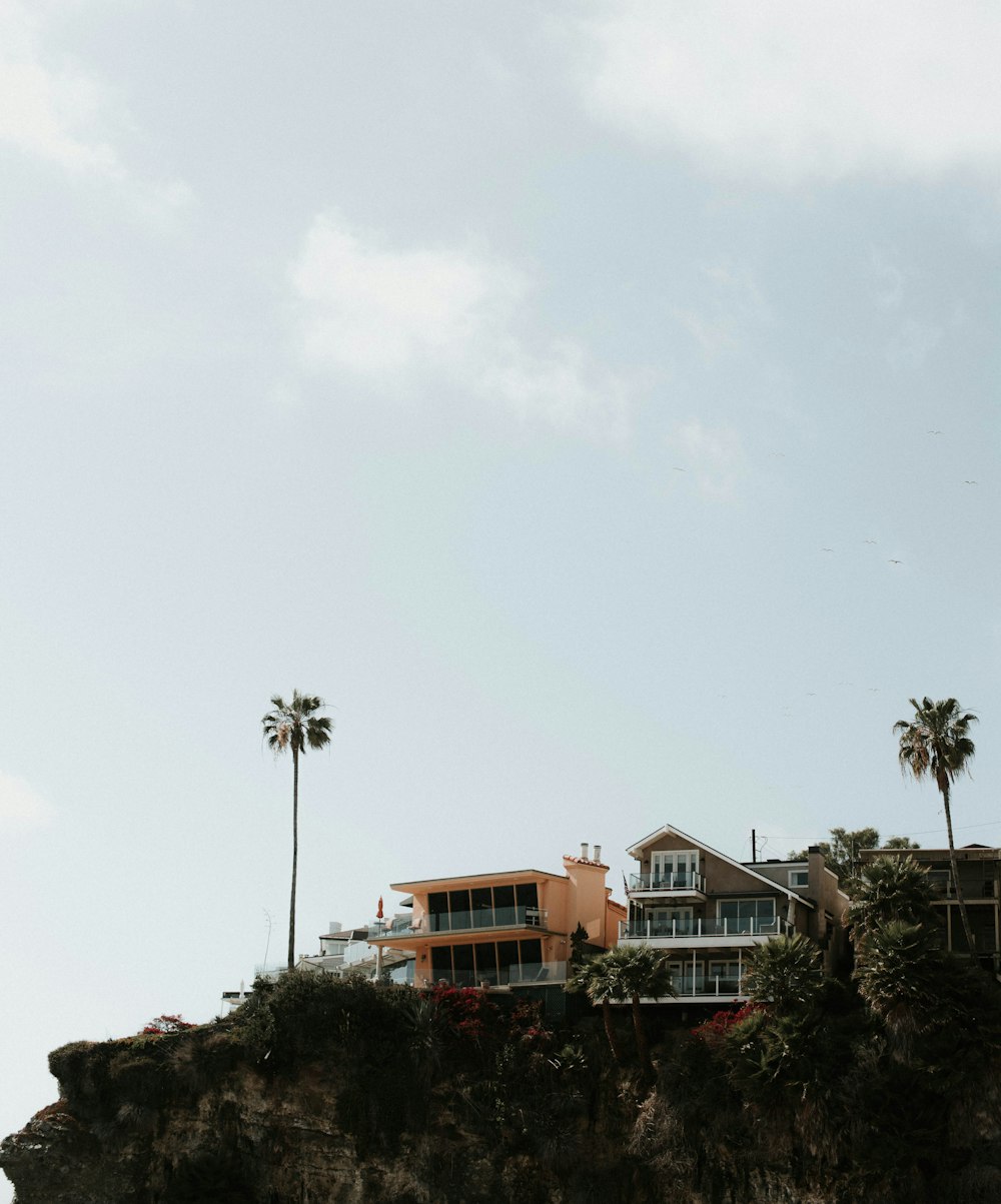 house on top of mountain near trees