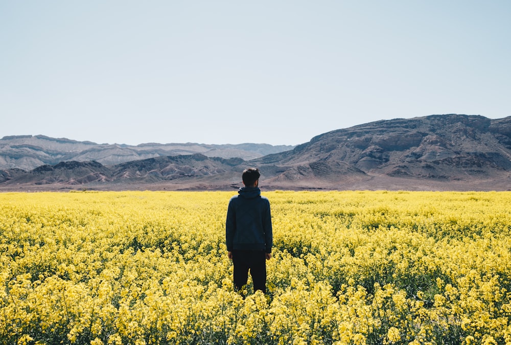 man standing on yellow flower field under blue sky