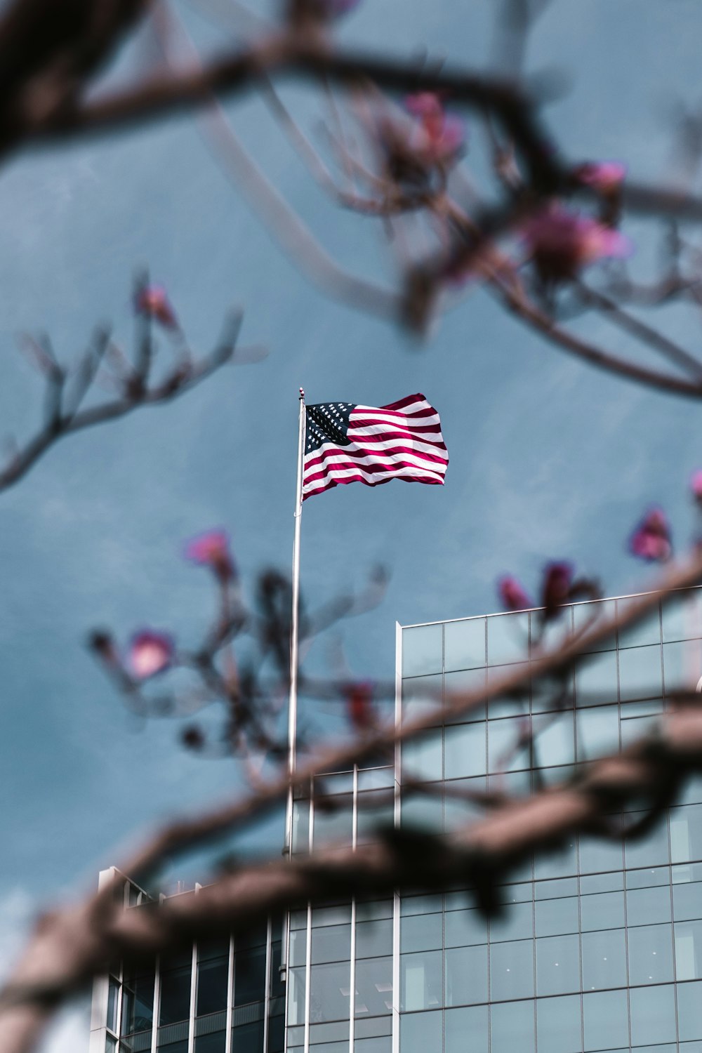 drapeau des États-Unis d’Amérique