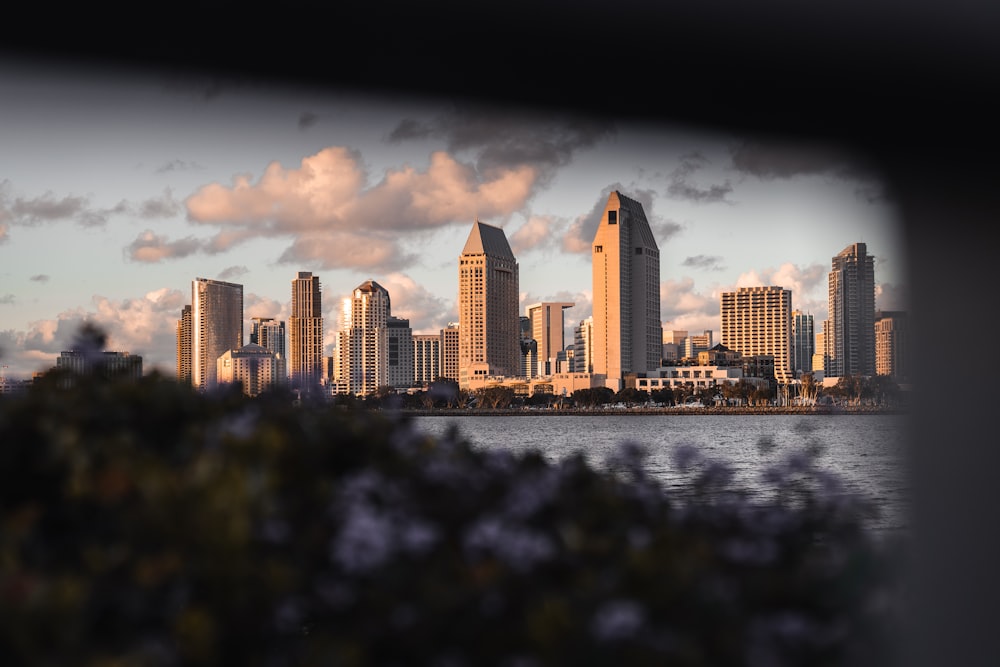 buildings near body of water