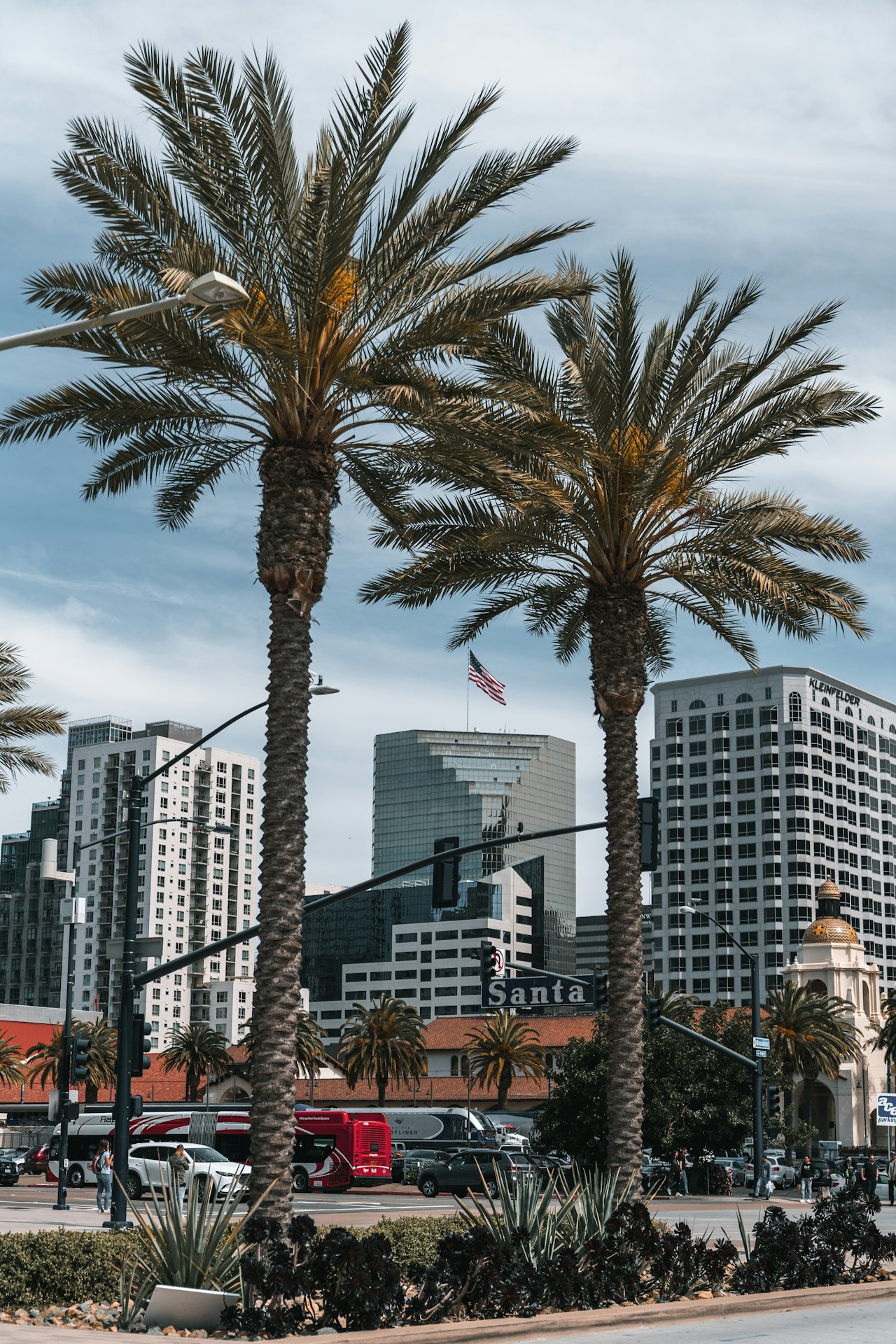 A Deep Dive into Local Market Trends in San Diego
