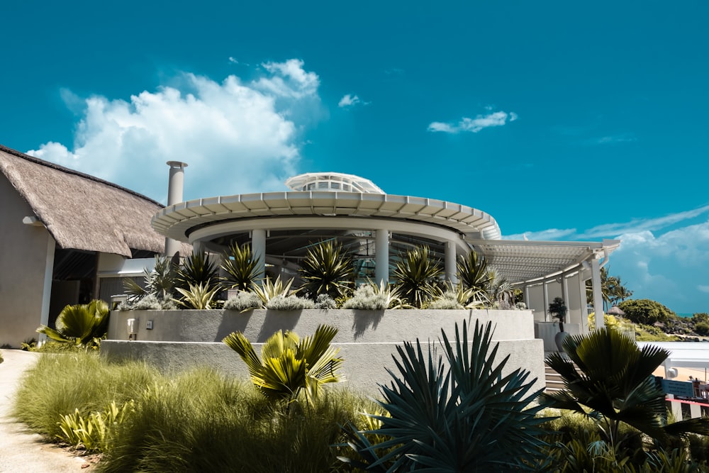 white concrete building with green plants during daytime