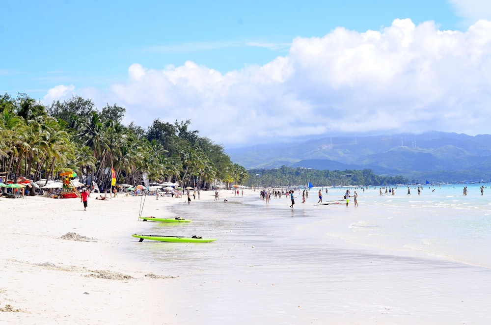 people standing on shoreline