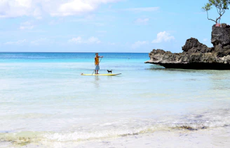 A joyful person paddling on a lake with a happy dog pulling the paddleboard on a sunny summer day.