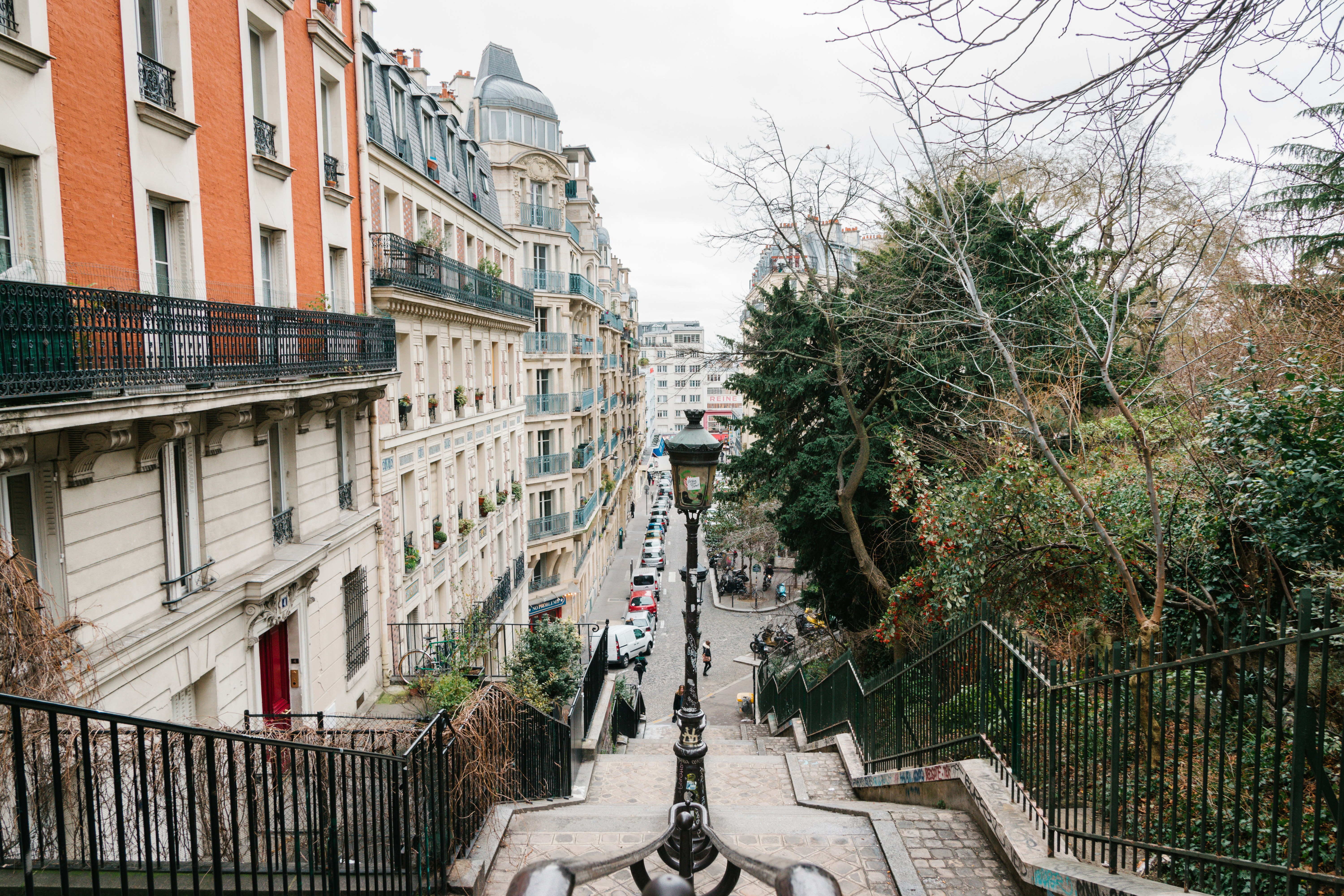 Photo by datnguyen110999