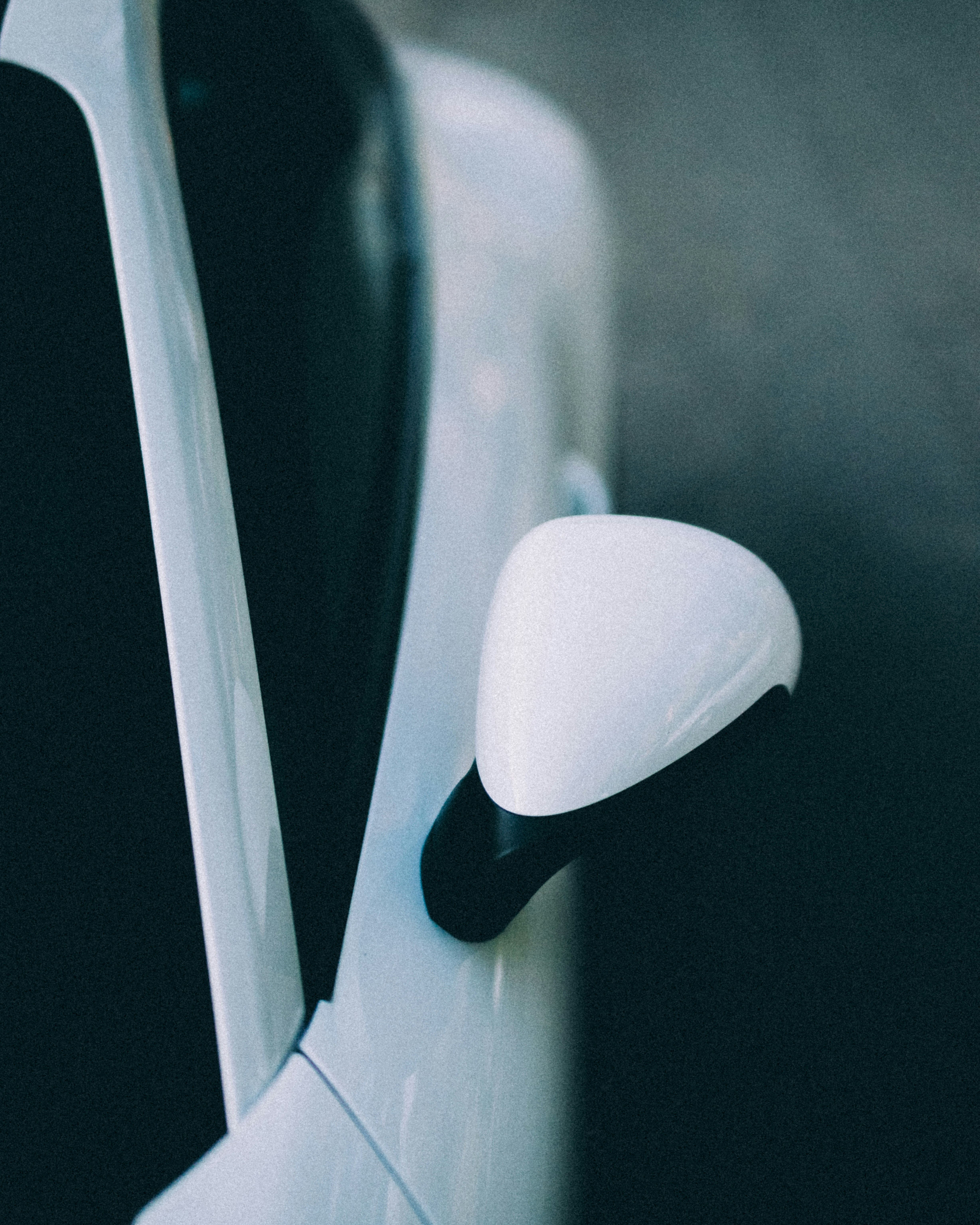 Photo by whoistaylorsmith