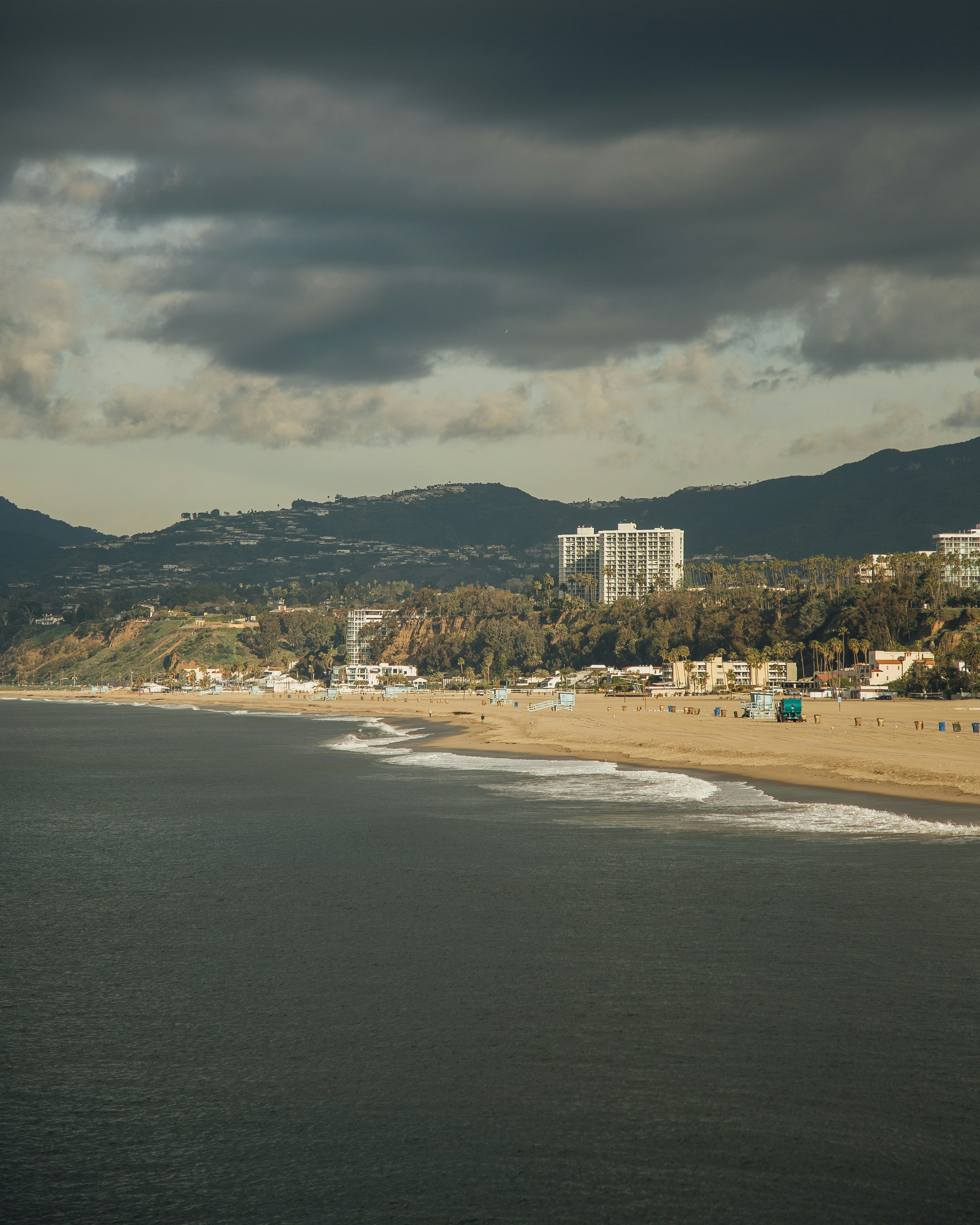 people on seashore during daytime