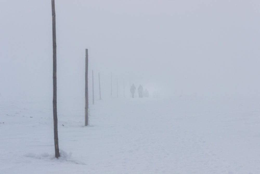 a group of people walking down a snow covered road