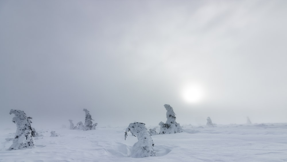 white snow during daytime