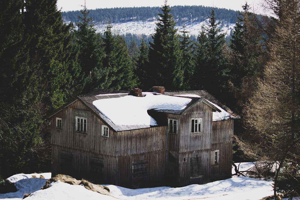 brown wooden house