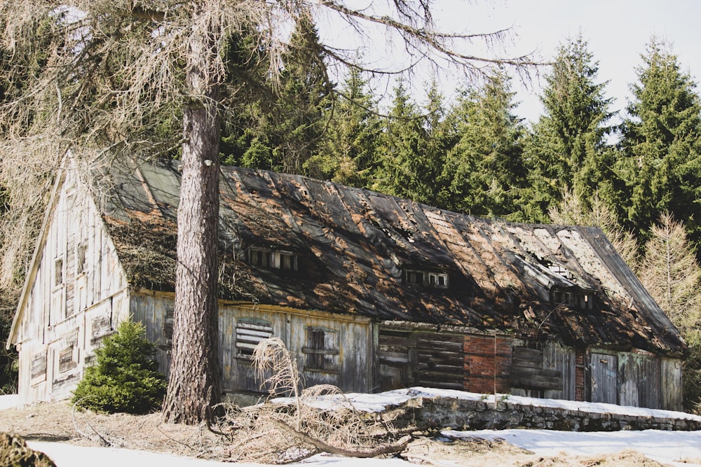 brown wooden house on focus photography