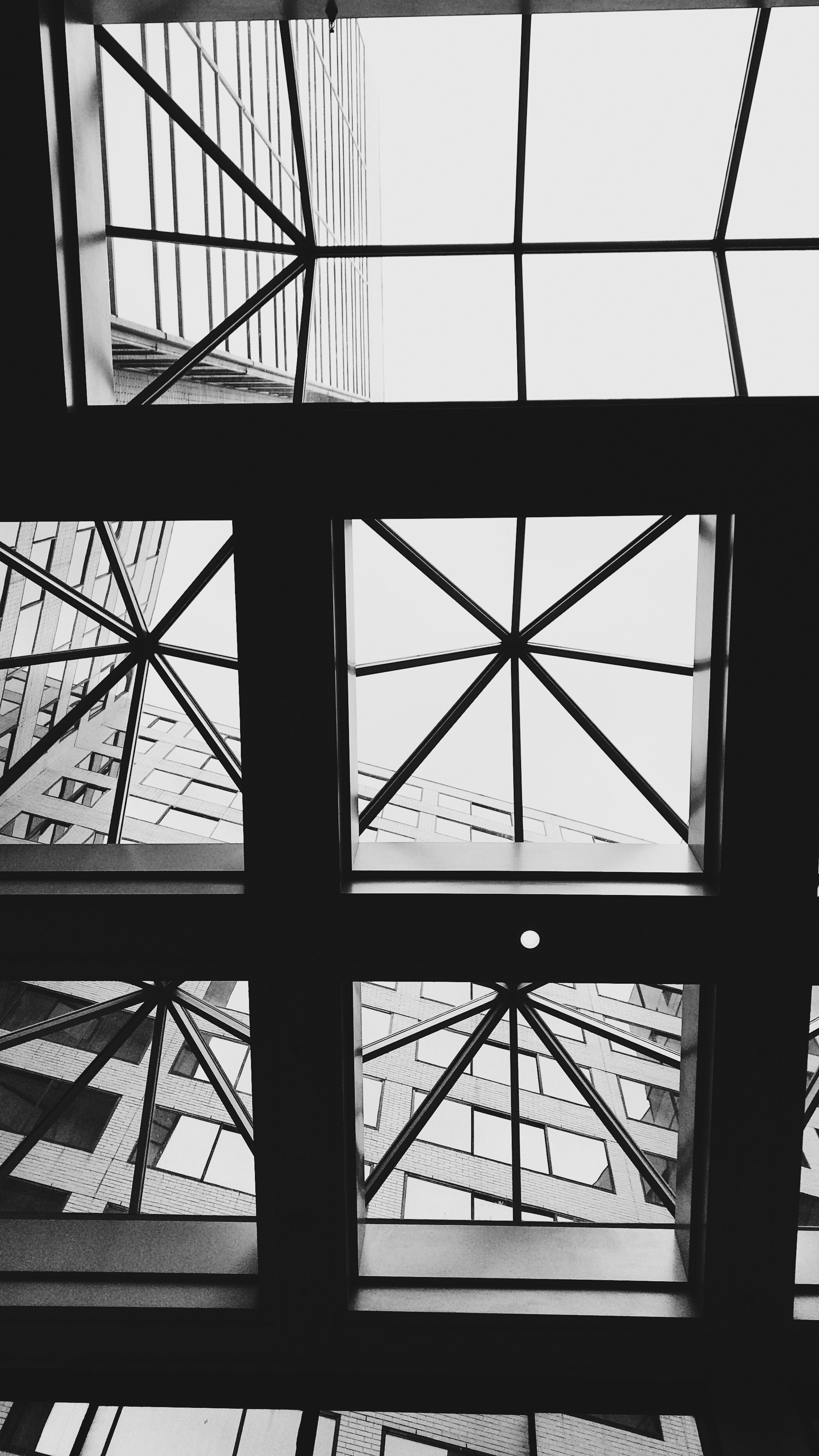 Photo by t_rampersad