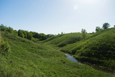 A serene green hillside plot with a gentle stream flowing nearby under a clear blue sky.