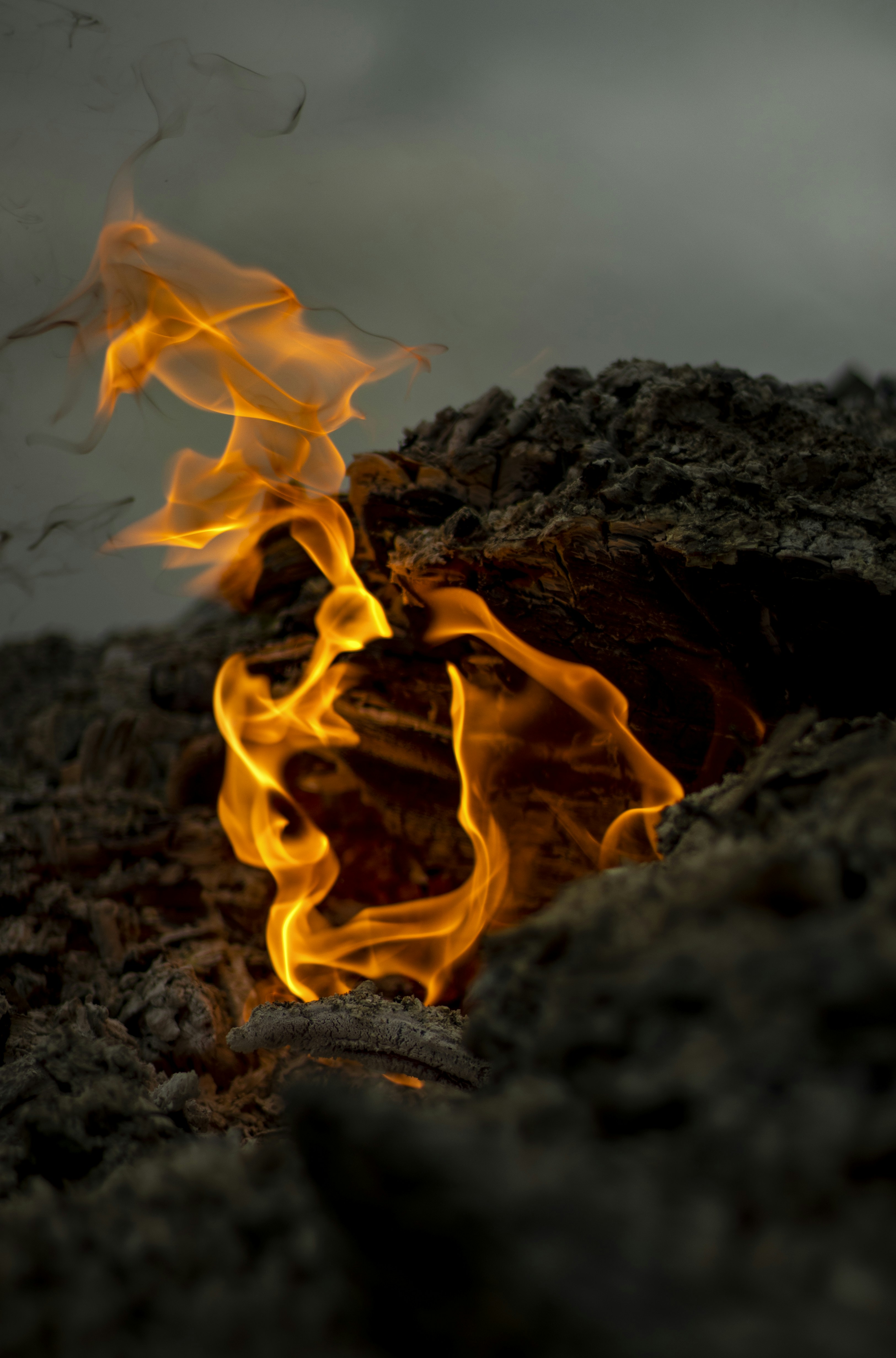 High-traffic area in Free Fire