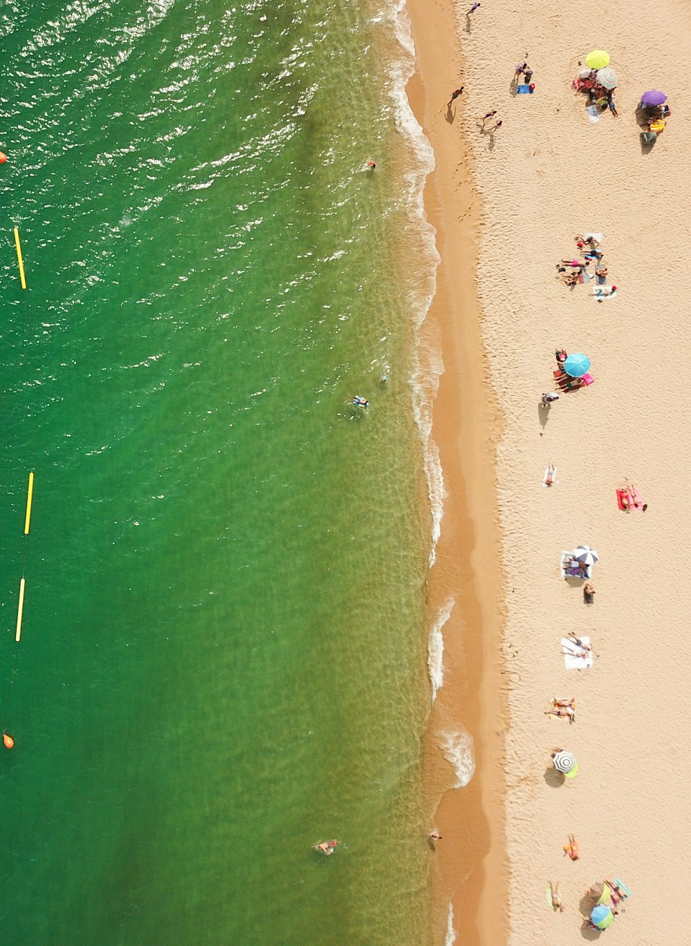 people on beach