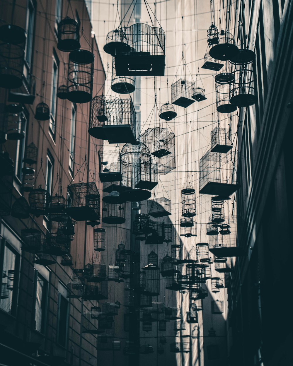 black hanging birdcages during daytime