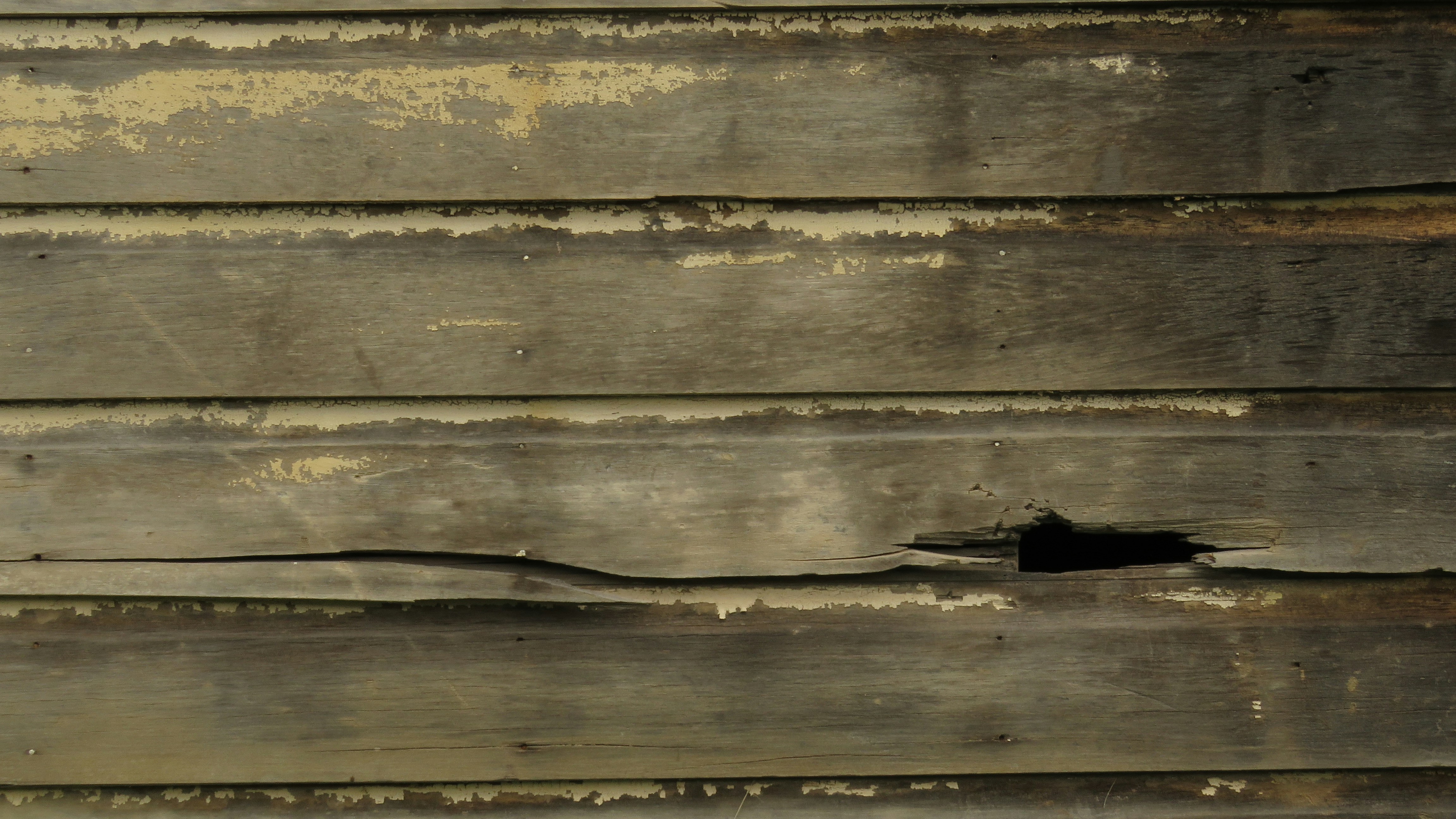 Photo by walraven1956